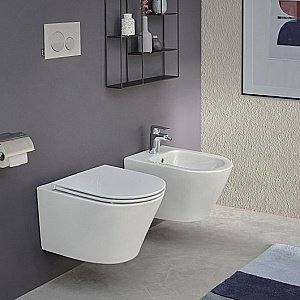 Биде подвесное Jacob Delafon Rodin+ EMJ0002-00 белое купить в интернет-магазине Sanbest