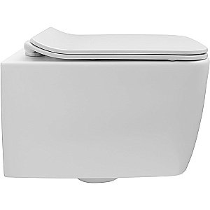 Унитаз подвесной Allen Brau Liberty 2 4.33007.21 белый матовый, безободковый купить в интернет-магазине Sanbest