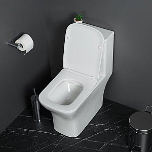 Унитаз-моноблок BelBagno NEON BB8617CPR-MN/SC белый, с крышкой микролифт, безободковый купить в интернет-магазине Sanbest