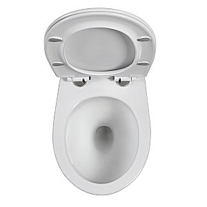 Унитаз подвесной RGW SW-50 80420250-01 белый, безободковый, с крышкой микролифт, слив-торнадо купить в интернет-магазине Sanbest