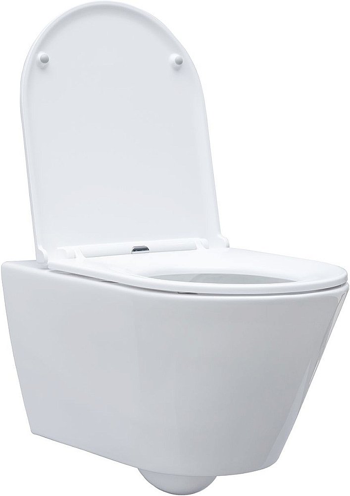 Унитаз подвесной Aquanet Lake белый с крышкой микролифт, безободковый купить в интернет-магазине Sanbest