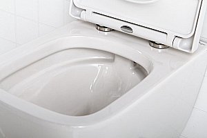 Унитаз подвесной BelBagno ALPINA BB10100CHR/SC с крышкой микролифт, безободковый купить в интернет-магазине Sanbest