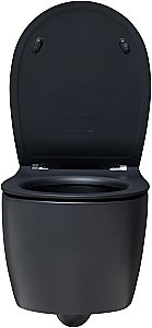 Унитаз Allen Brau Fantasy 4.11004.31 безободковый, с крышкой микролифт, черный купить в интернет-магазине Sanbest
