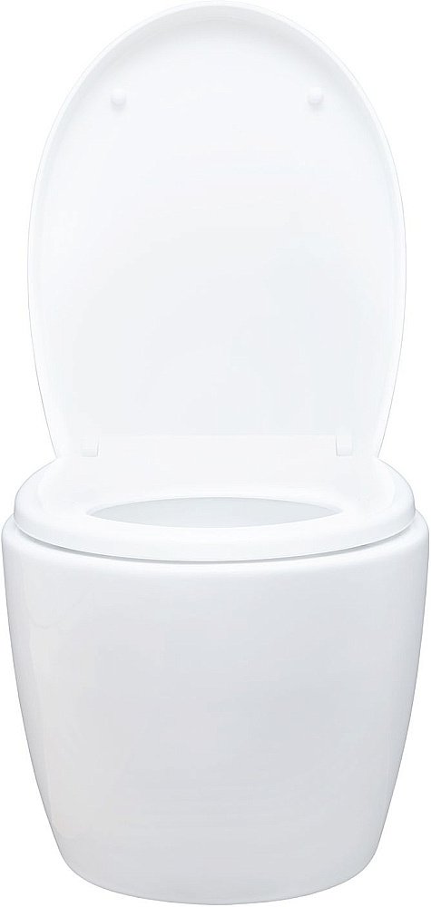 Унитаз подвесной Aquanet ZV-1 белый с крышкой микролифт, безободковый, слив-торнадо купить в интернет-магазине Sanbest