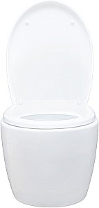 Унитаз подвесной Aquanet ZV-1 белый с крышкой микролифт, безободковый, слив-торнадо купить в интернет-магазине Sanbest