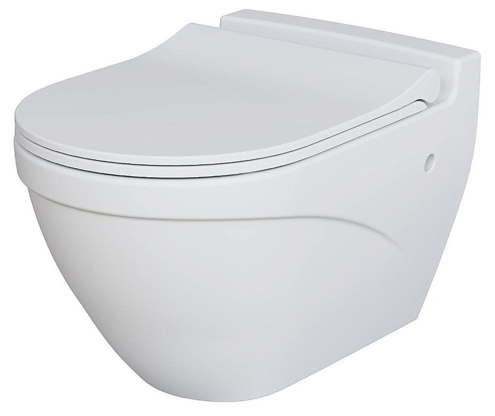 Унитаз подвесной Ambassador Nord 133T20101 белый матовый купить в интернет-магазине Sanbest