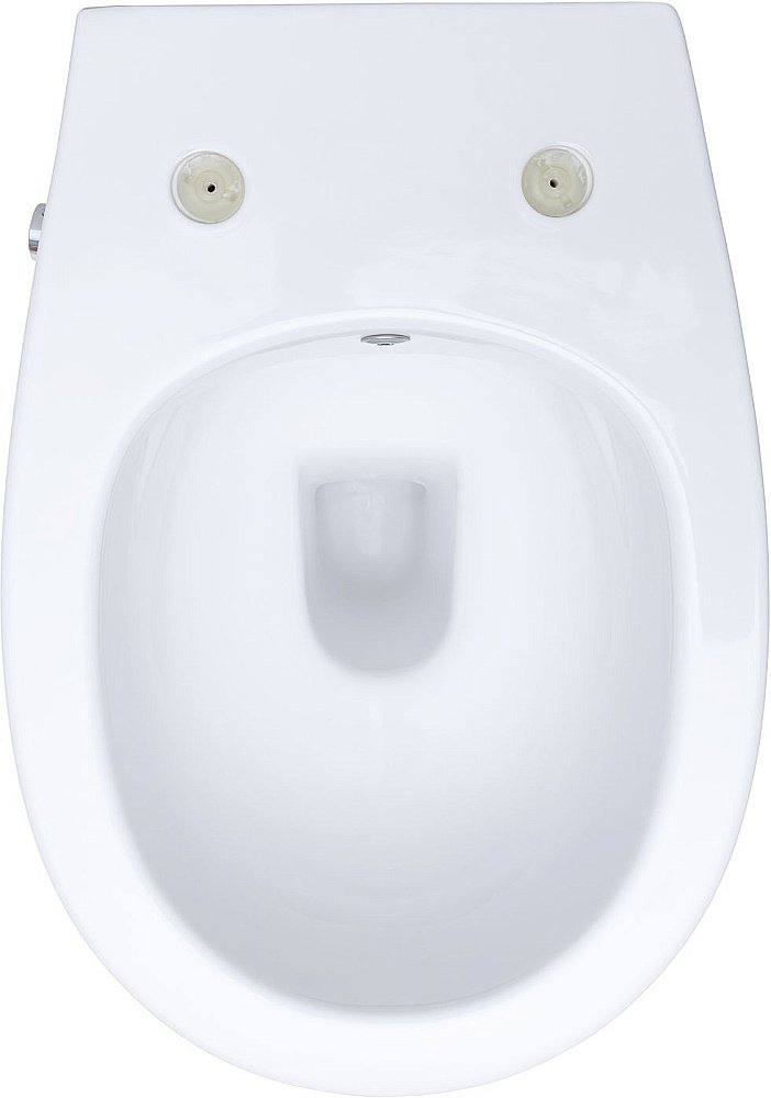 Унитаз Allen Brau Fantasy 4.11HC1.20 безободковый, с крышкой микролифт, белый купить в интернет-магазине Sanbest