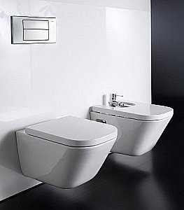 Унитаз подвесной Roca The Gap 34647L000 безободковый купить в интернет-магазине Sanbest