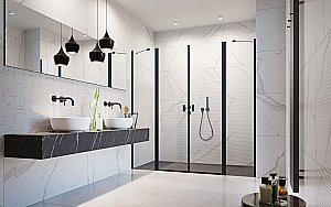 Душевая дверь Radaway Nes 8 Black DWD II 170 730+970 стекло прозрачное/профиль черный матовый купить в интернет-магазине Sanbest