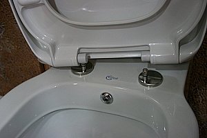 Унитаз подвесной с функцией биде Ideal Standard Connect E781901 белый купить в интернет-магазине Sanbest