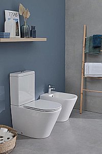 Биде напольное Jacob Delafon Rodin+ EBJ0002-00 белое купить в интернет-магазине Sanbest