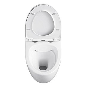 Унитаз подвесной Black&White UNIVERSE W-751 белый, безободковый купить в интернет-магазине Sanbest