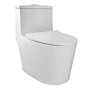 Унитаз моноблок Azario Bais AZ-5003 белый, безободковый, с крышкой микролифт купить в интернет-магазине Sanbest