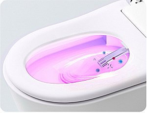 Унитаз-биде электронный подвесной TIMO TЕ-751B с инсталляцией, с крышкой микролифт купить в интернет-магазине Sanbest