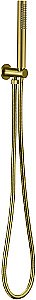 Душевой гарнитур Allen Brau Priority 5.31019-GB золото брашированное купить в интернет-магазине сантехники Sanbest