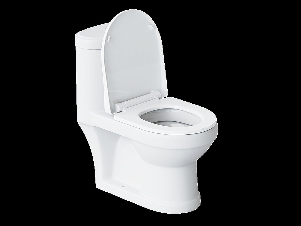 Детский унитаз-моноблок Laguraty W01 с крышкой микролифт купить в интернет-магазине Sanbest