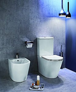 Унитаз напольный Jacob Delafon RODIN ETAB232-00/UJAB102-00 безободковый, с бачком, белый купить в интернет-магазине Sanbest