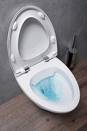 Унитаз подвесной Jacob Delafon NOUVELLE VAGUE EDJ102-00 безободковый купить в интернет-магазине Sanbest