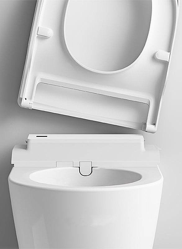 Унитаз подвесной Roca Inspira in-Wash 803060001 безободковый купить в интернет-магазине Sanbest