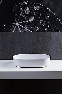 Раковина накладная Allen Brau Fantasy 55 4.11022.20 белая купить в интернет-магазине Sanbest