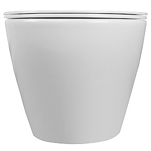 Унитаз подвесной Azario Pro PRO-0001 белый, безободковый, с крышкой микролифт купить в интернет-магазине Sanbest