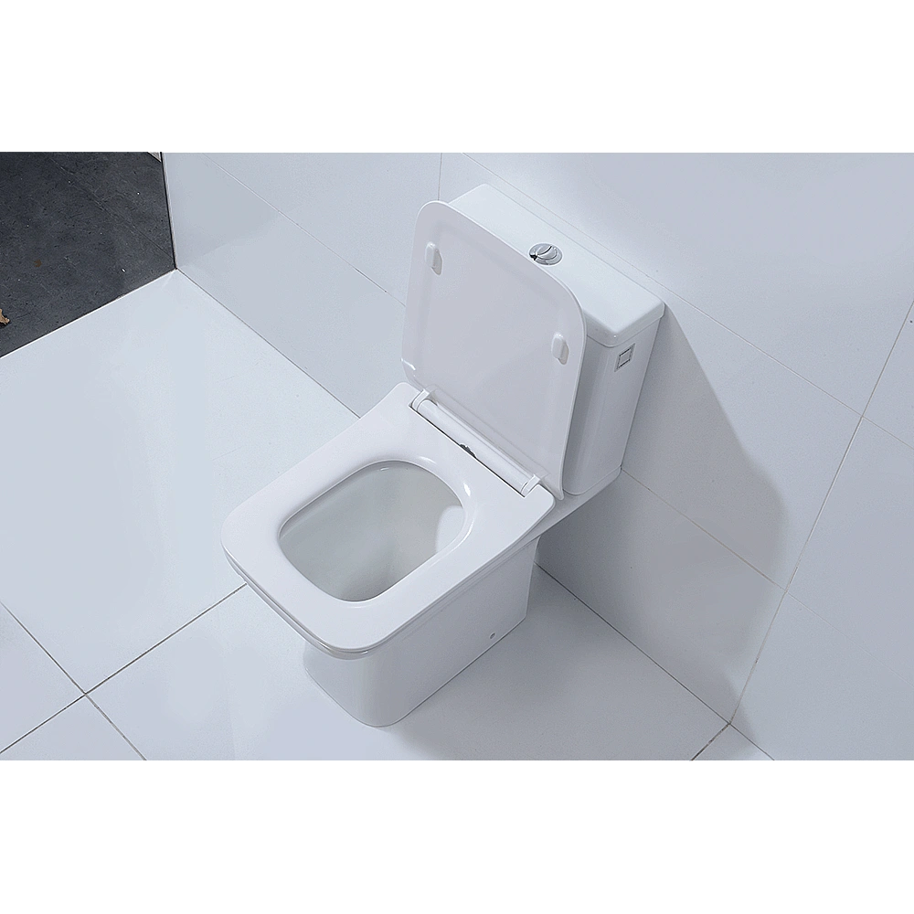 Унитаз-компакт Orans Ceramic OLS-WM9905 безободковый, с бачком, с крышкой микролифт купить в интернет-магазине Sanbest