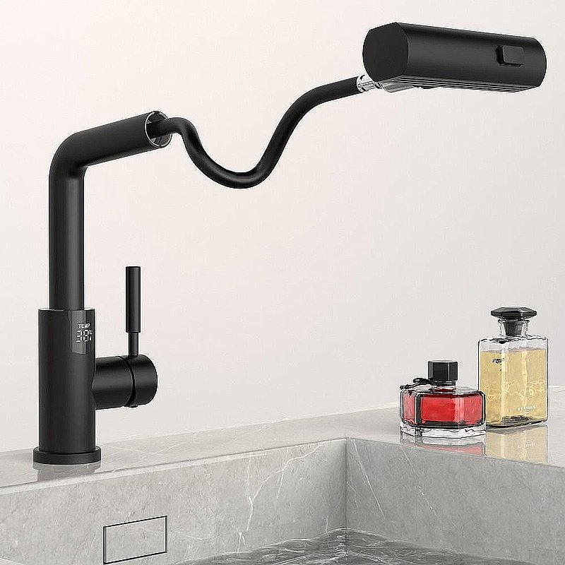 Смеситель для раковины Black&white Sky Day SD3028B черный матовый купить в интернет-магазине сантехники Sanbest