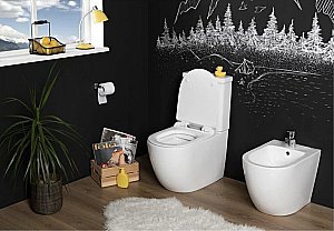 Унитаз-компакт Aquanet Rimless Cetus BL-102N-TPT с крышкой микролифт, с бачком, безободковый купить в интернет-магазине Sanbest