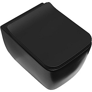 Унитаз подвесной Allen Brau Liberty 2 4.33007.31 черный матовый, безободковый купить в интернет-магазине Sanbest