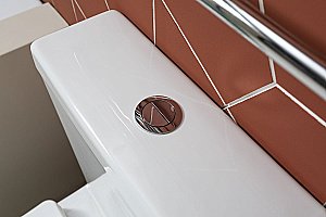 Унитаз-компакт Aquanet Rimless Cetus 2.0 C1 LX-2903 с крышкой микролифт, с бачком, безободковый купить в интернет-магазине Sanbest