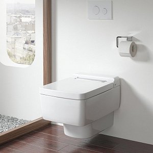 Унитаз подвесной TOTO SG/WASHLET TOILET CW512YR купить в интернет-магазине Sanbest