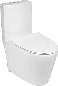 Унитаз моноблок WeltWasser WELZBACH 001GL-WT белый глянец купить в интернет-магазине Sanbest