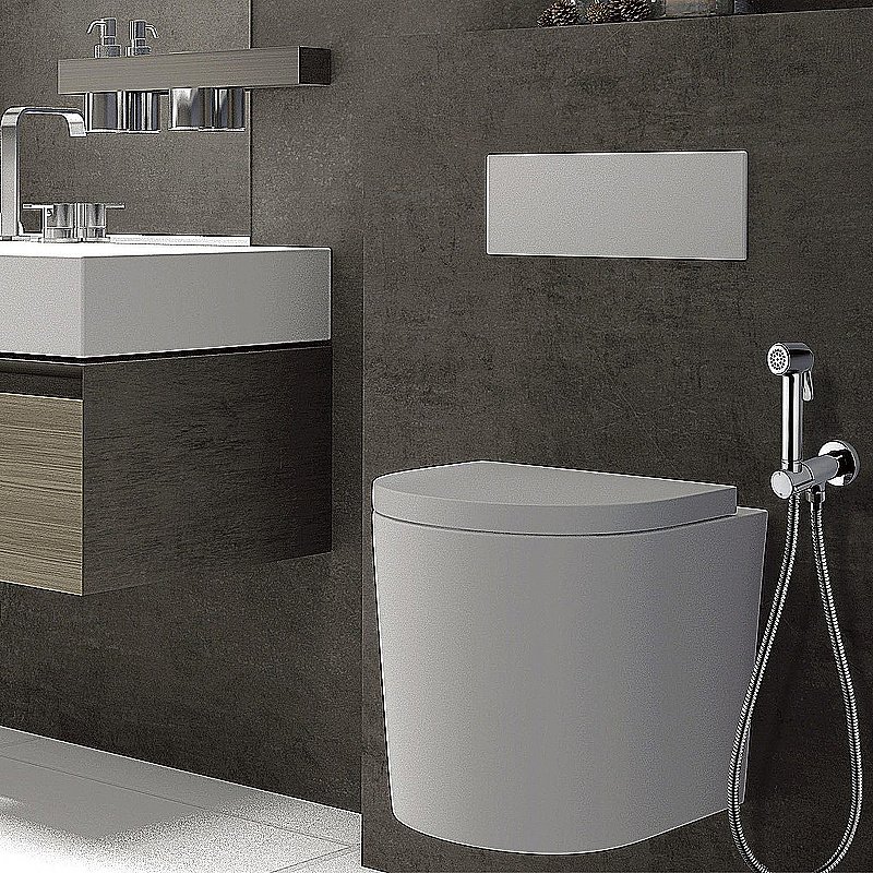 Гигиенический душ Bossini Paloma Brass E37007B.030 хром купить в интернет-магазине сантехники Sanbest