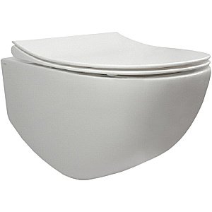 Унитаз с инсталляцией Pestan Fluenta Rimless SET40006661AС безободковый, с крышкой микролифт купить в интернет-магазине Sanbest