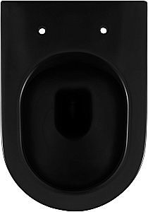 Унитаз приставной Allen Brau Reality 4.32004.31 черный матовый, безободковый, с крышкой микролифт купить в интернет-магазине Sanbest