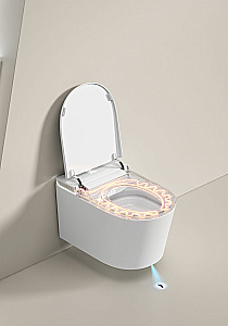 Унитаз-биде подвесной с инсталляцией Allen Brau Smart 4.I1001.20 белый, с крышкой микролифт, слив торнадо купить в интернет-магазине Sanbest