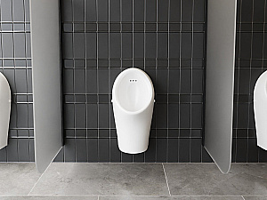 Писсуар Ravak Freeman X01929 белый купить в интернет-магазине Sanbest