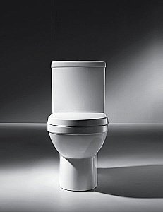 Унитаз-компакт Bravat NEW MOON CX01019UW с бачком, с крышкой микролифт купить в интернет-магазине Sanbest