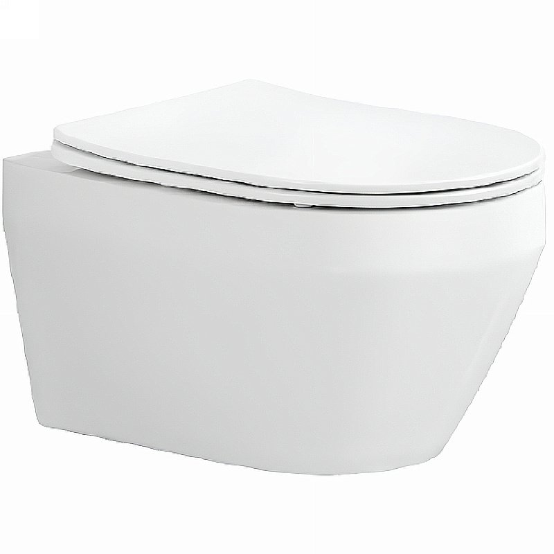 Унитаз подвесной Aquatek Лея AQ1199-00 белый, с крышкой микролифт, безободковый купить в интернет-магазине Sanbest