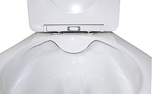 Унитаз напольный AZARIO Flin AZ-1363C безободковый, с бачком, с крышкой микролифт, глянцевый белый купить в интернет-магазине Sanbest