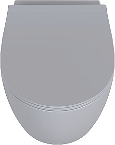 Унитаз подвесной Allen Brau Fantasy 3 Vortex 4.11035.SG серый матовый, с крышкой микролифт, слив торнадо купить в интернет-магазине Sanbest