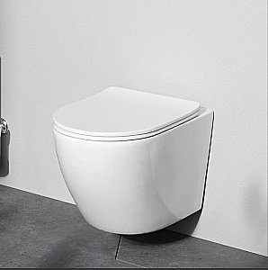 Унитаз подвесной AM.PM Like C801900SC белый, безободковый купить в интернет-магазине Sanbest