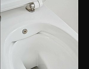 Унитаз SSWW CT2039V-B белый безободковый, с крышкой микролифт, функцией биде купить в интернет-магазине Sanbest