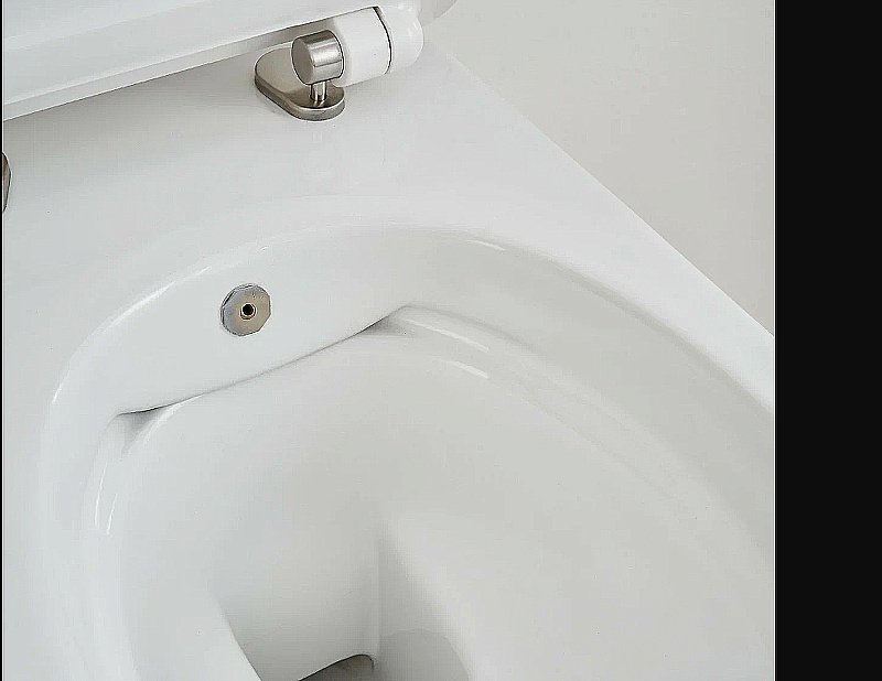 Унитаз SSWW CT2039V-B белый безободковый, с крышкой микролифт, функцией биде купить в интернет-магазине Sanbest