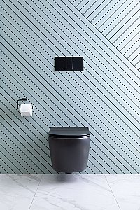 Унитаз подвесной Aquanet Rimless Cetus-BW BL-102N-WHT с крышкой микролифт, безободковый купить в интернет-магазине Sanbest