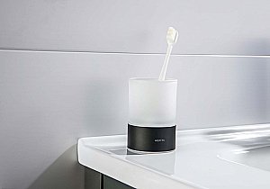 Стакан Aquatek Лира AQ4428MB стекло матовое/черный матовый купить в интернет-магазине сантехники Sanbest