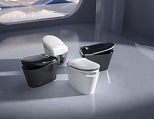 Унитаз приставной с функцией биде SantiLine SL-5036 белый, безободковый, с крышкой микролифт, слив торнадо купить в интернет-магазине Sanbest