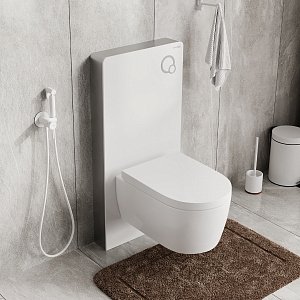 Инсталляция для унитаза WasserKraft Naab 86TLT.040.PE.WH купить в интернет-магазине сантехники Sanbest