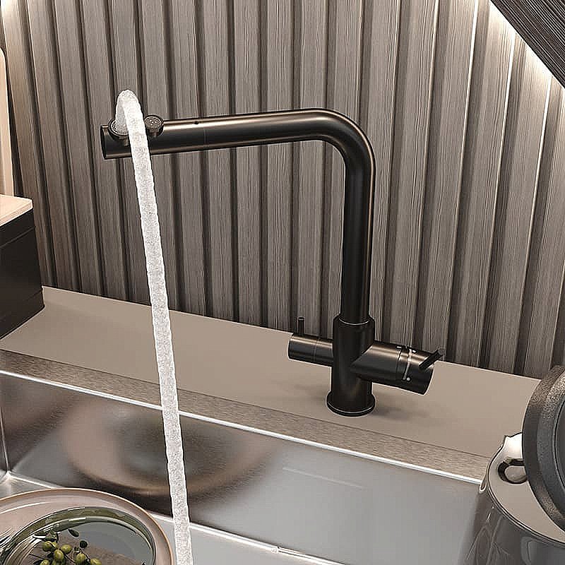 Смеситель для кухни Elghansa Kitchen Pure Water 56A5216-Black черный купить в интернет-магазине сантехники Sanbest