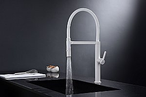 Смеситель для кухни Paulmark Leader Le214101-WH белый матовый купить в интернет-магазине сантехники Sanbest